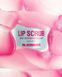Cкраб для губ Lip Scrub Mint Raspberry eclair с ароматом мятно-малинового эклера Mr.SCRUBBER оригинал Victoria's Secret фото 2068